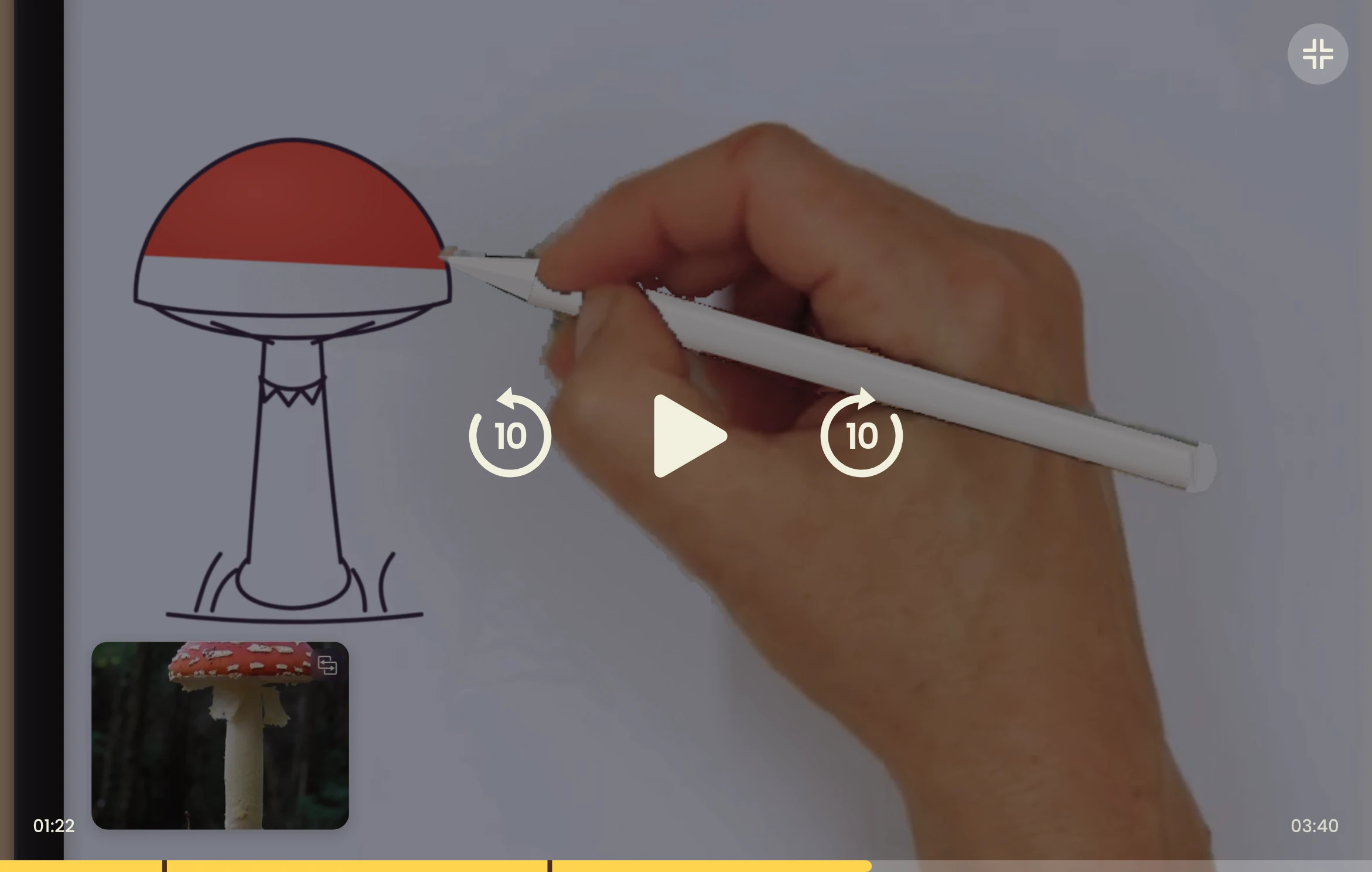The lesson video in full screen, with its controls, chapter bar and an exit full screen button