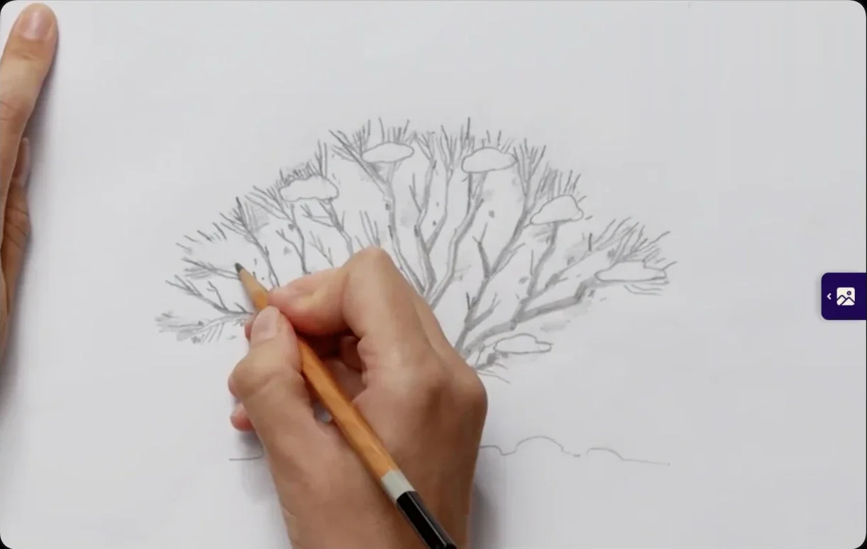 Video player on iPad: drawing a tree with a catch-up tip