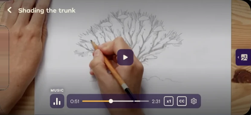 The video player on iPhone: Shading the trunk