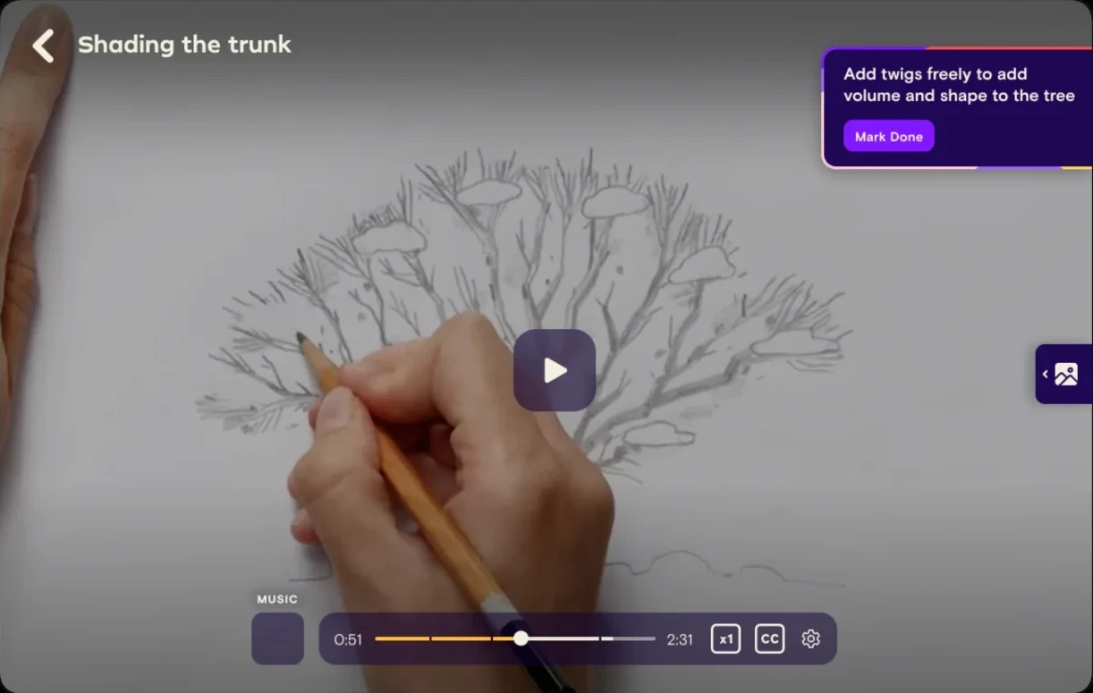 Video player controls: play, music, seek bar, speed and captions