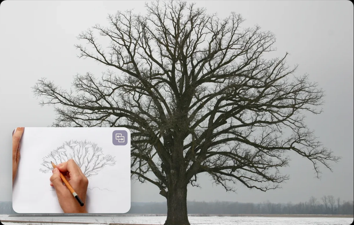 Reference mode: the tree reference photo with the drawing video in a small window